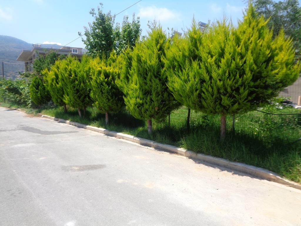 Creta Nostos Luxury Apartment Tsikalaria  エクステリア 写真