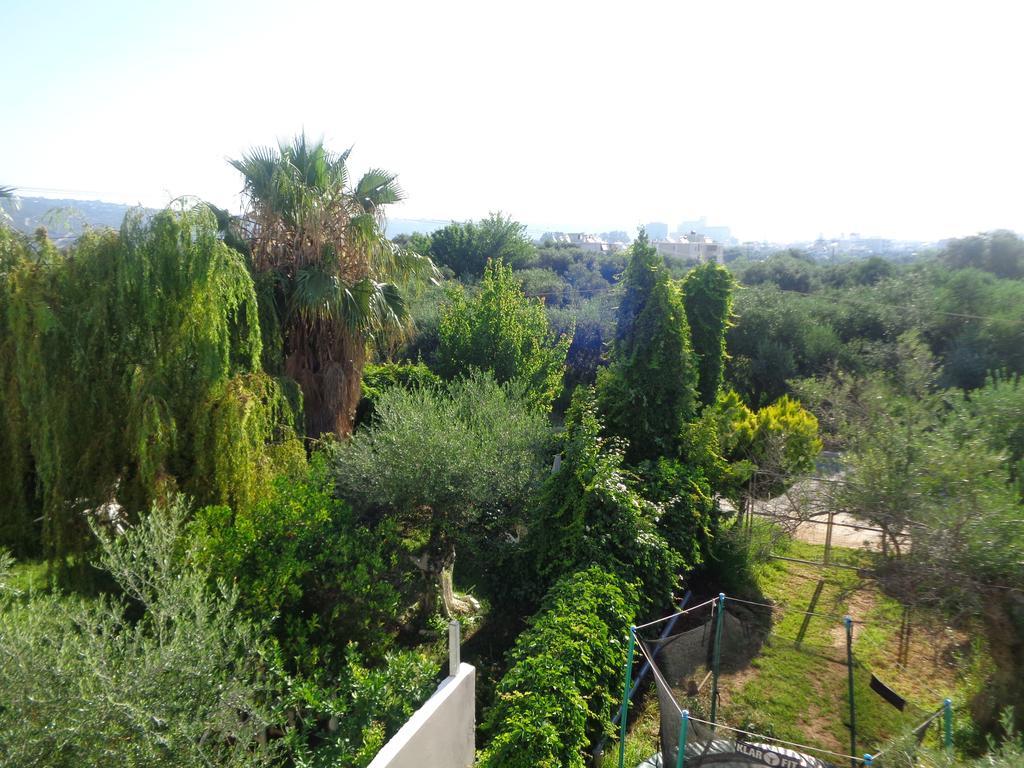 Creta Nostos Luxury Apartment Tsikalaria  エクステリア 写真