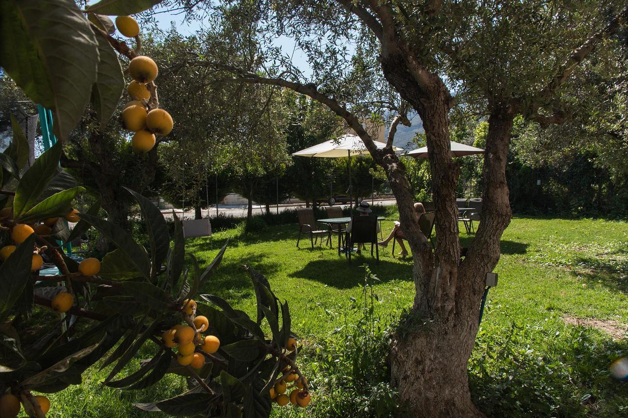 Creta Nostos Luxury Apartment Tsikalaria  エクステリア 写真
